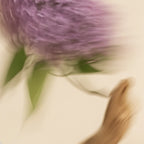Scented Candle_3.png